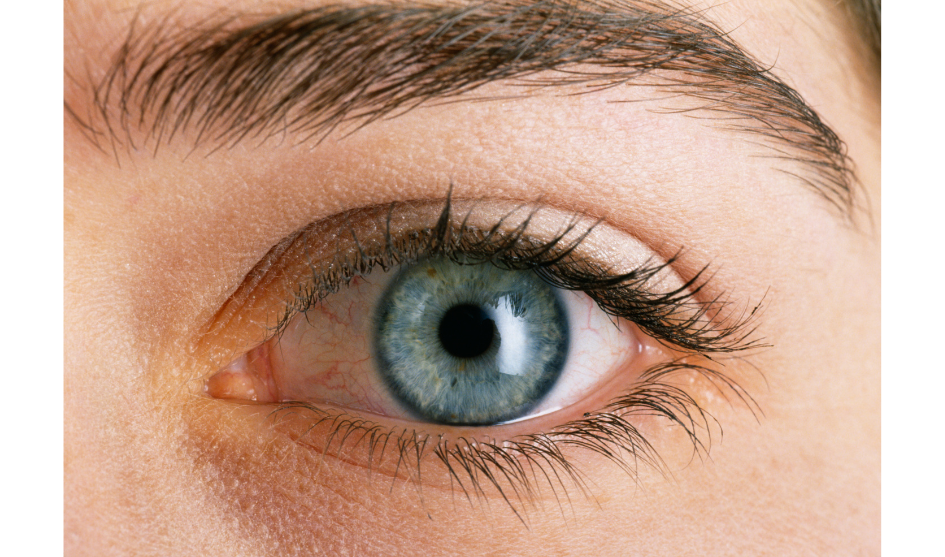 Descolamento de Retina - Instituto de Moléstias Oculares
